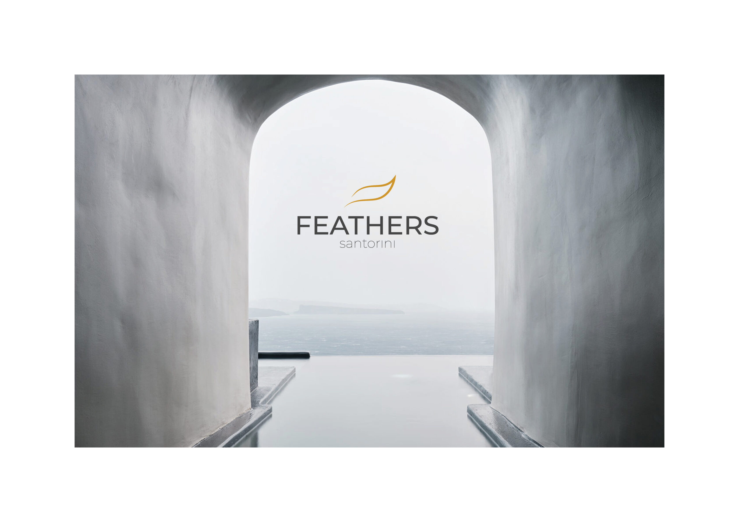 Hotel Feathers Catalogue